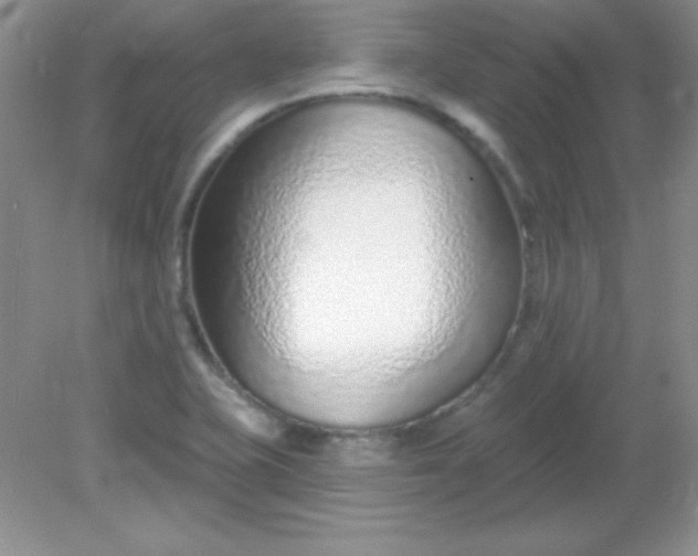 X0000082161415200702021649