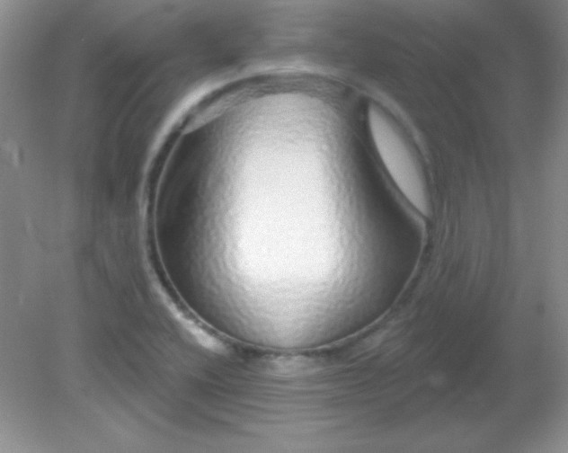 X0000082161416200702021649