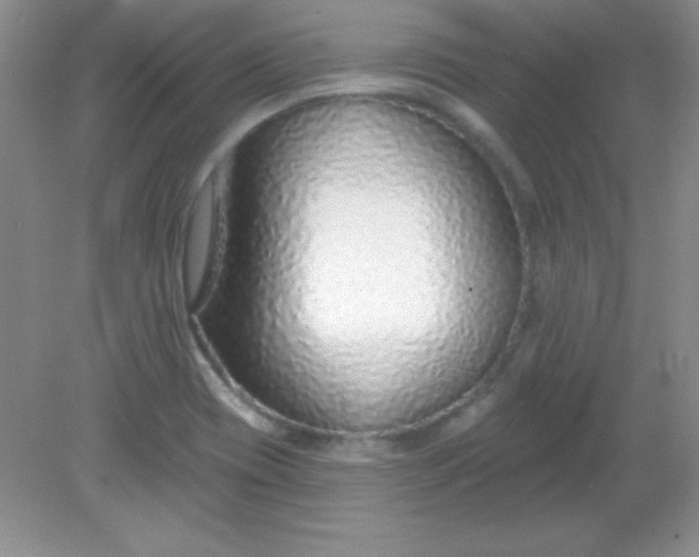 X0000082161417200702021649