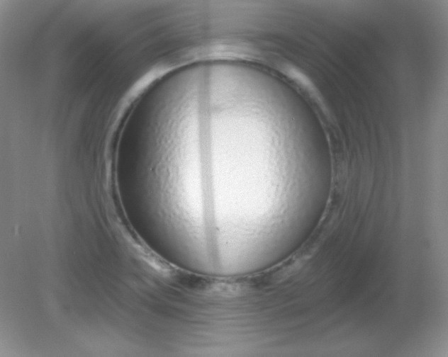 X0000082161419200702021649