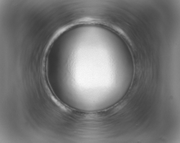 X0000082161421200702021649