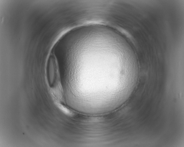 X0000082161423200702021649