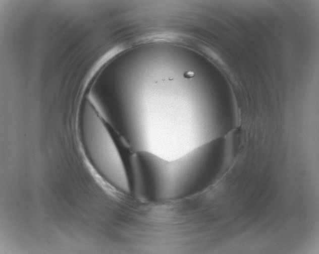 X0000082161426200702021649