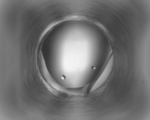 X0000082161430200702021649
