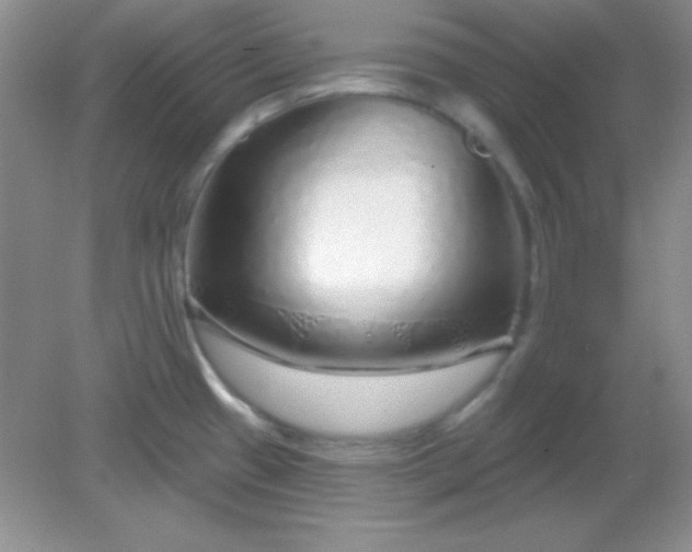 X0000082161433200702021649