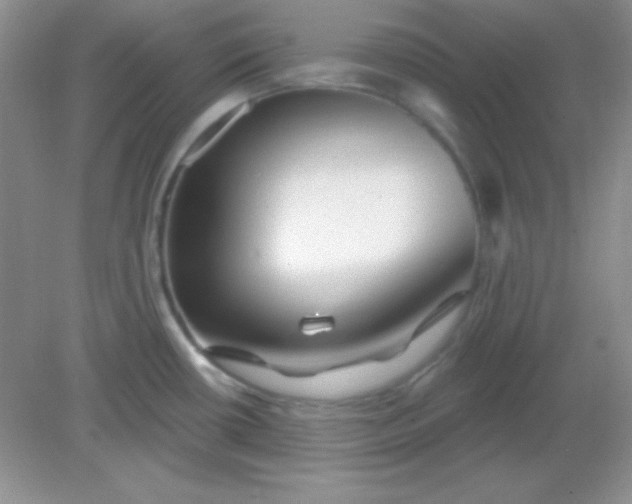 X0000082161434200702021649