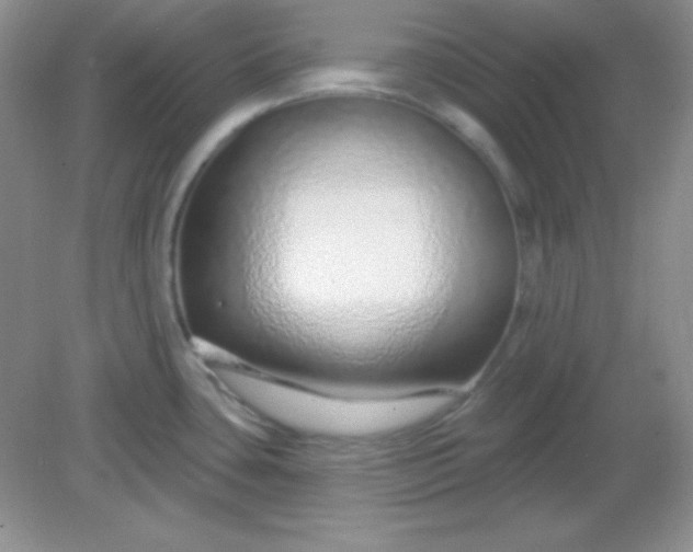 X0000082161435200702021649