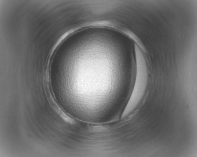 X0000082161436200702021649