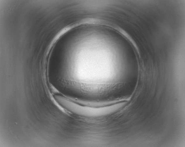 X0000082161437200702021649
