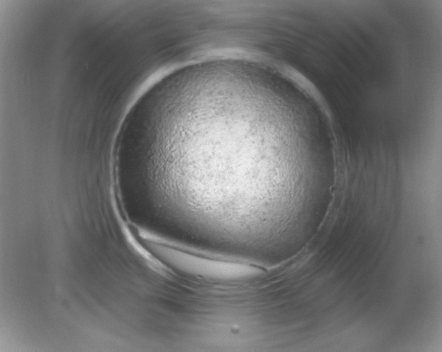 X0000082161439200702021649