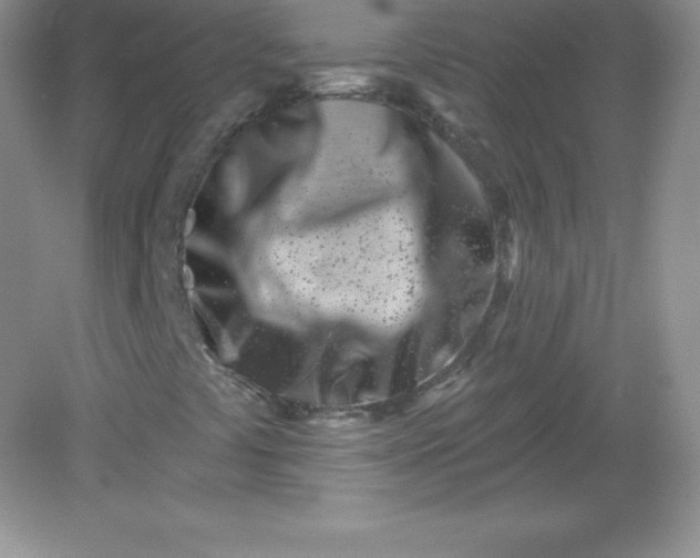 X0000082161441200702021649