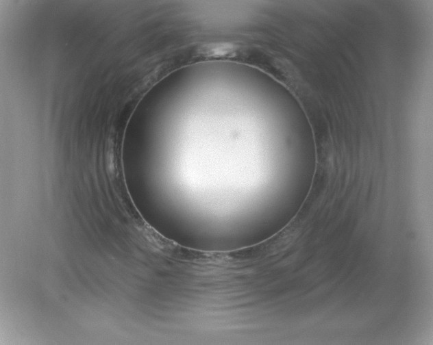 X0000082161442200702021648