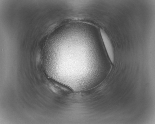 X0000082161444200702021648