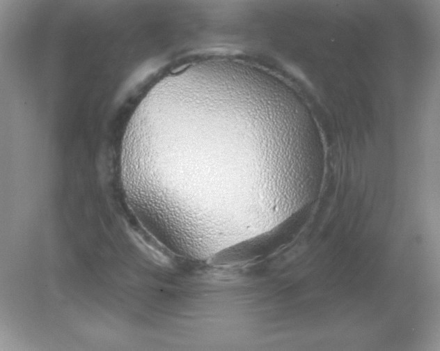 X0000082161448200702021648