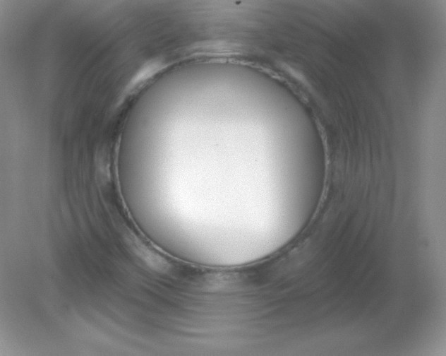 X0000082161451200702021648
