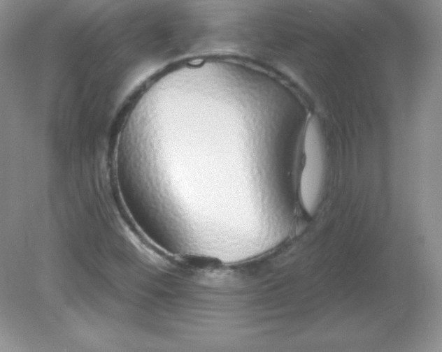 X0000082161452200702021648
