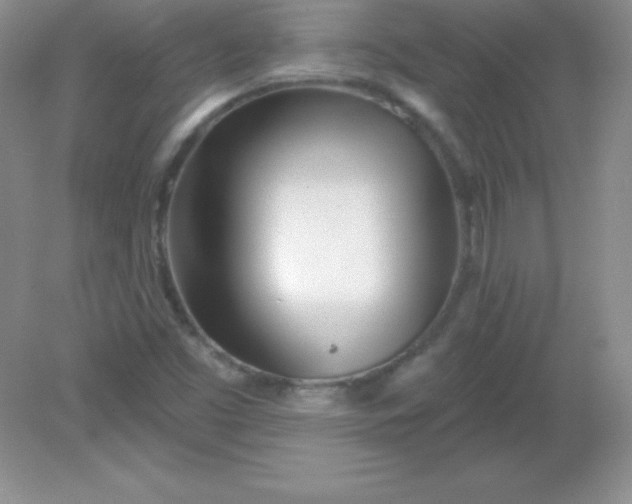 X0000082161453200702021648