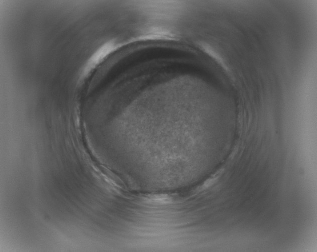 X0000082161455200702021648