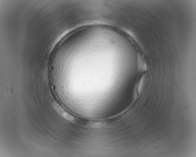 X0000082161460200702021648
