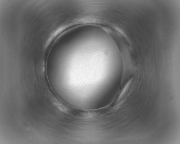 X0000082161461200702021648
