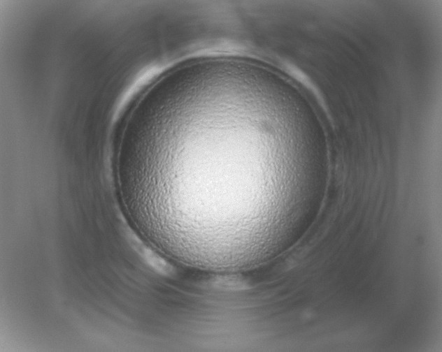 X0000082161464200702021648