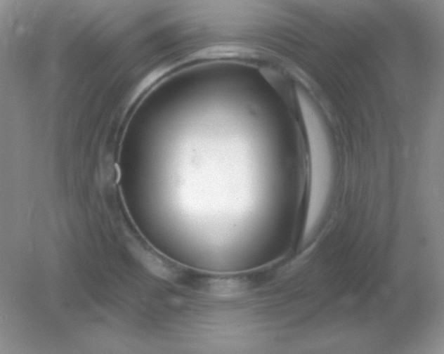 X0000082161465200702021648
