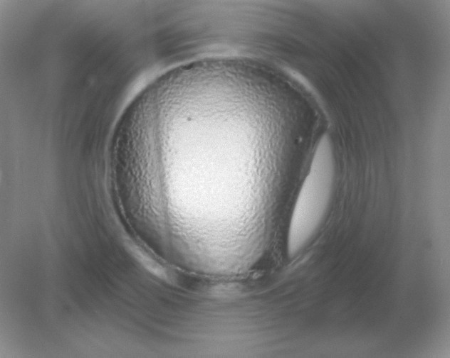 X0000082161467200702021648