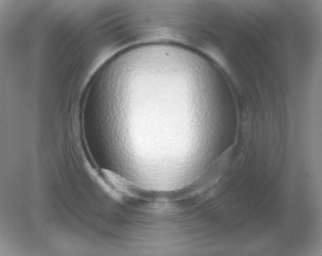 X0000082161468200702021648