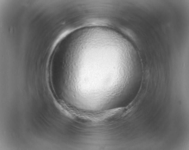 X0000082161471200702021648