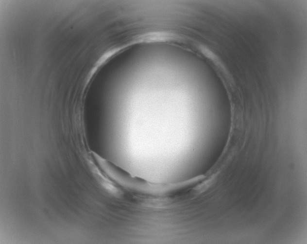 X0000082161473200702021648