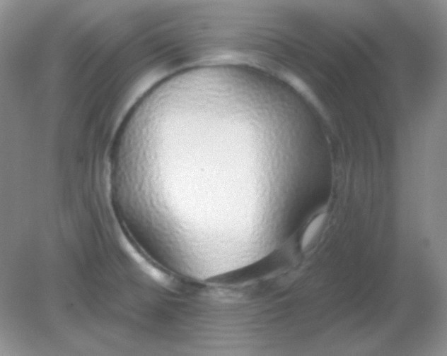 X0000082161476200702021648