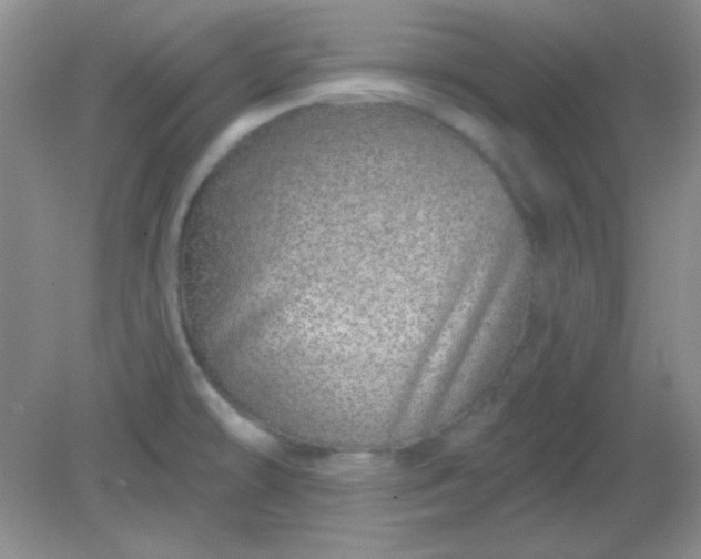 X0000082161478200702021648