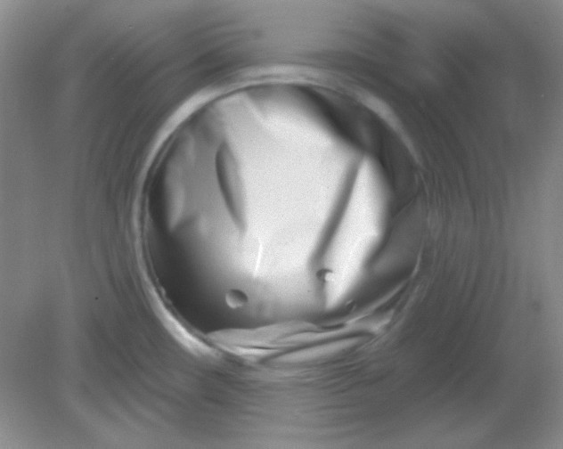 X0000082161482200702021648