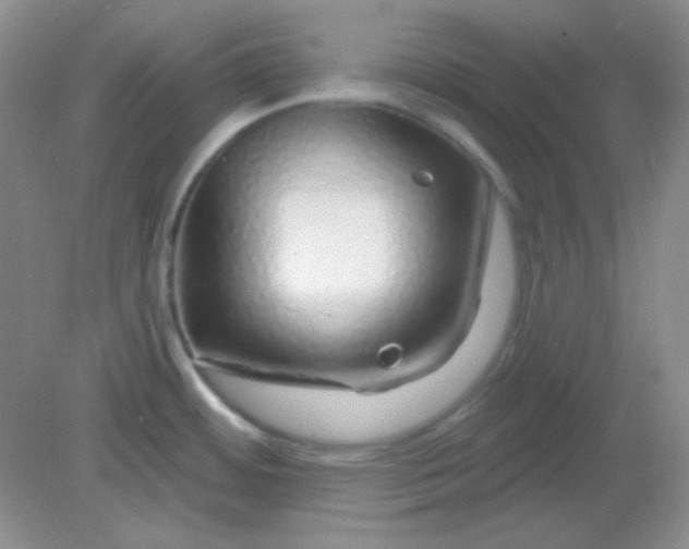 X0000082161484200702021648