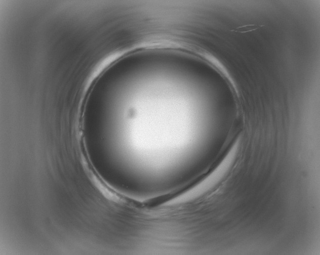 X0000082161485200702021648