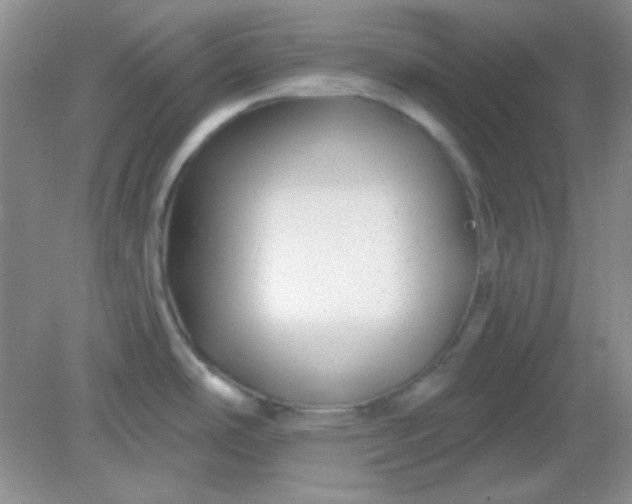 X0000082161486200702021648