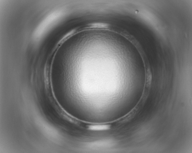 X0000082161487200702021648