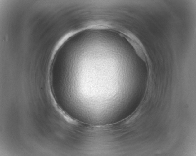 X0000082161488200702021648