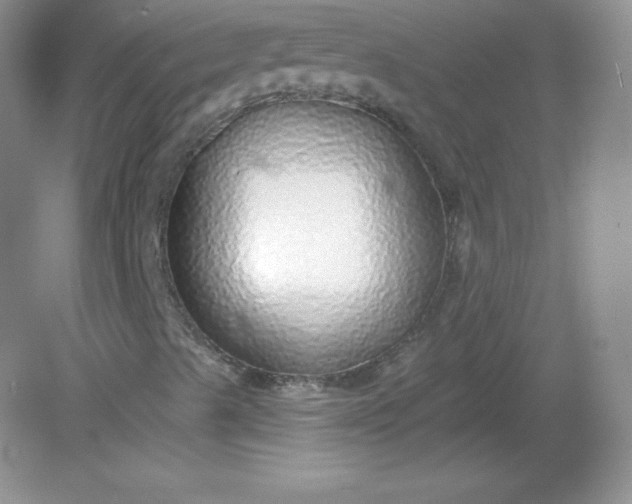 X0000082161489200702021647