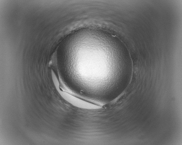 X0000082161490200702021647