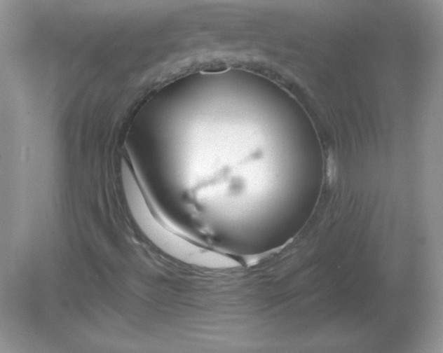 X0000082161492200702021647