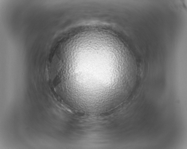 X0000082161493200702021647