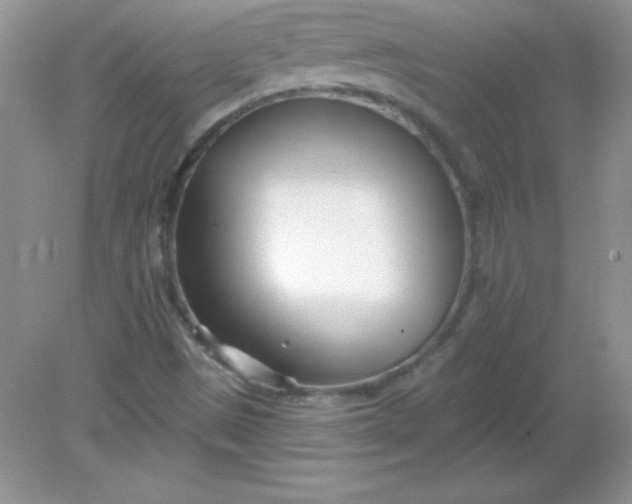 X0000082161497200702021647