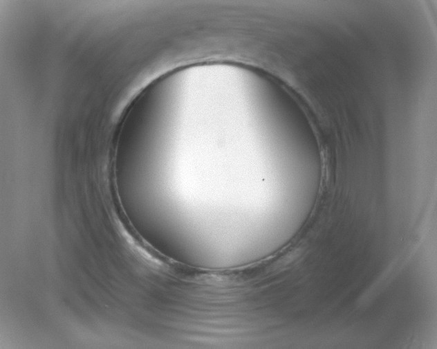 X0000082161500200702021647