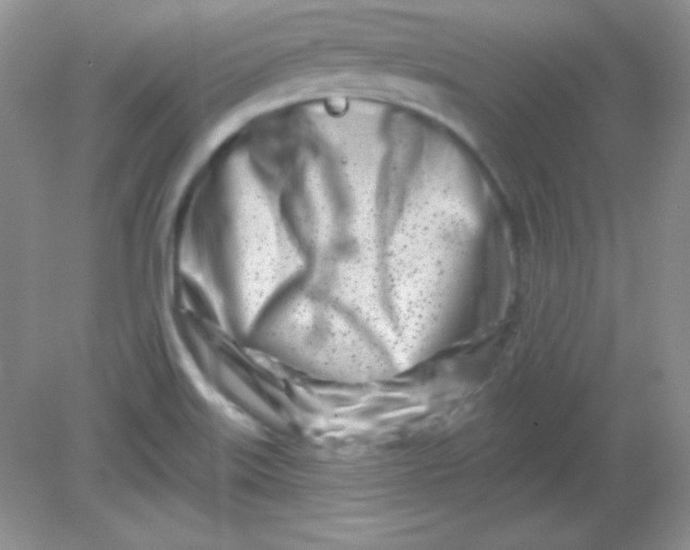 X0000082161515200702021647