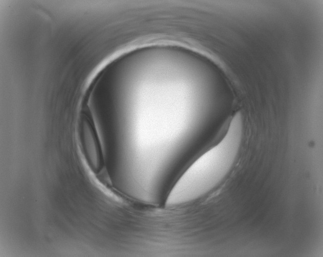 X0000082161518200702021647