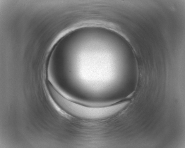 X0000082161523200702021647