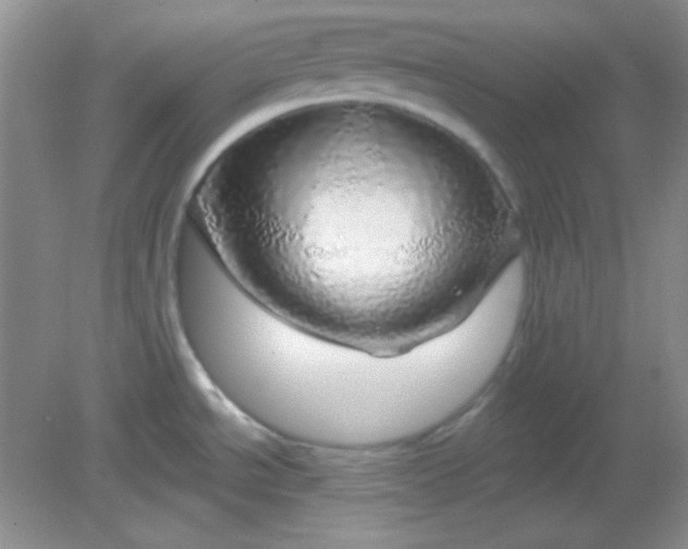 X0000082161534200702021648