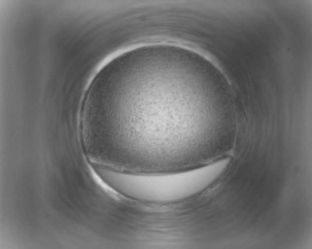 X0000082161535200702021648