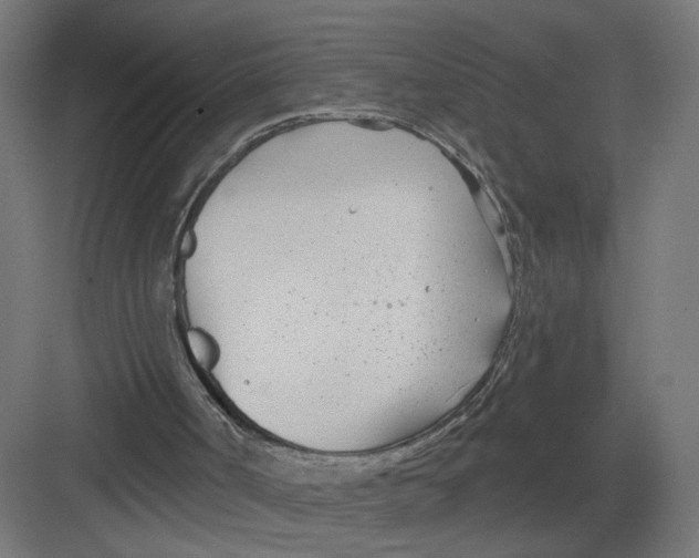 X0000082160002200702092230